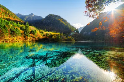 Sunlight flares in from the top right across water so clear the fallen trunks read plainly on the lakebed, autumn hillsides ringing the far shore.