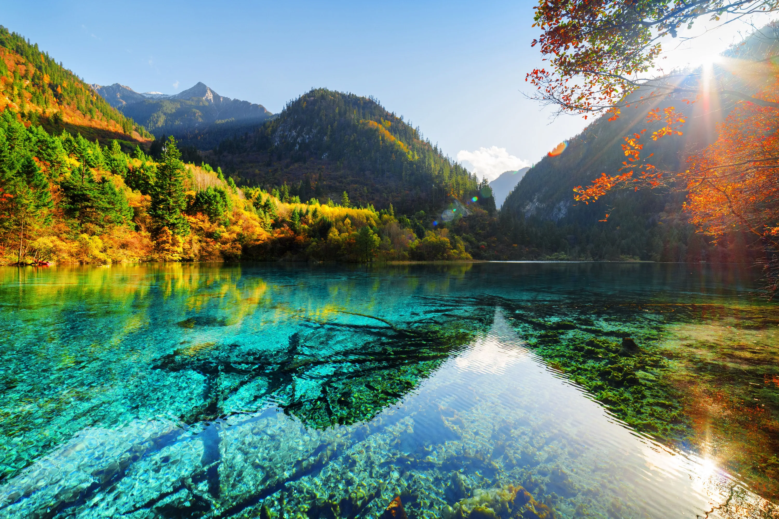 Sunlight flares in from the top right across water so clear the fallen trunks read plainly on the lakebed, autumn hillsides ringing the far shore.