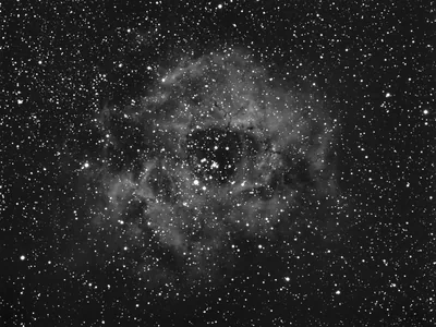 The rosette's petal-shaped gas ring surrounds a small open cluster at centre, everything rendered in soft grey against a dense star field.