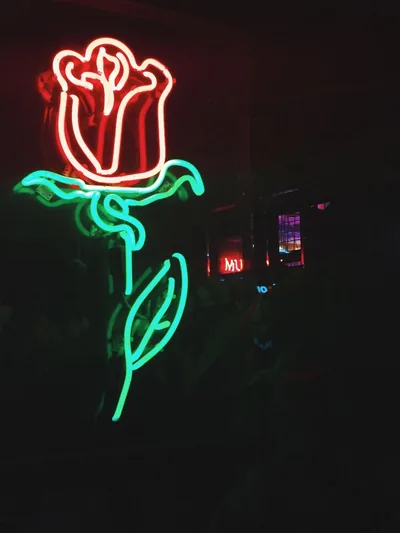A neon tube rose burns red and green against a black wall, its light falling off fast so the right side of the frame stays unlit.