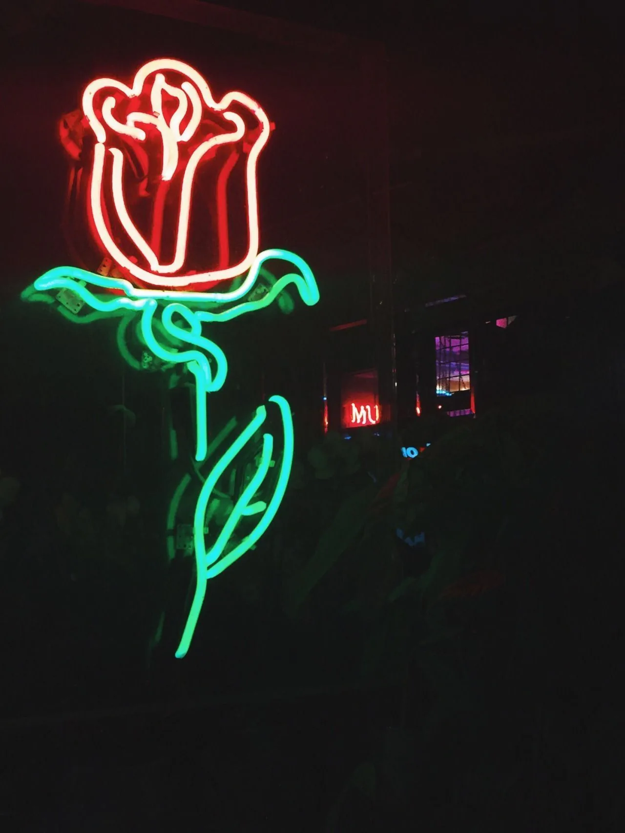A neon tube rose burns red and green against a black wall, its light falling off fast so the right side of the frame stays unlit.