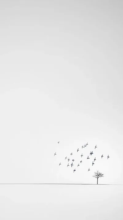 Dozens of tiny birds scatter up and to the left of a bare tree standing on a thin baseline, the whole upper field a clean off-white for dark icons.