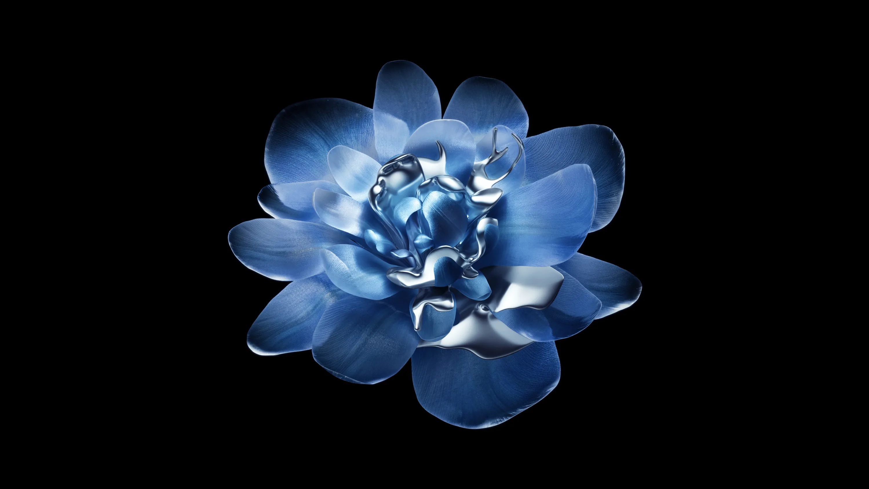 A blue bloom floats at the centre of a black field, its inner petals curled tight and shining like polished metal.