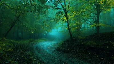 A wet stone path curves into teal fog beneath dark twisted trees, yellow-green leaves overhead — the cool glow at centre reads well behind a lock-screen clock.