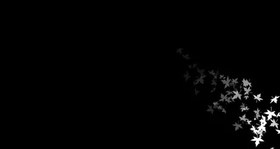 A scatter of pale butterflies drifts up from the bottom right corner, thinning as it goes, leaving most of the frame true black.