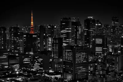 Tokyo Tower burns orange above an otherwise desaturated skyline at night, thousands of lit windows speckling the black towers around it.