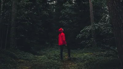 Deep green pines close in around a hiker whose red jacket is the only saturated colour, standing low in the frame with empty canopy above.