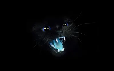 A cat bares its teeth in near darkness, blue rim light picking out fangs, whiskers and two glinting eyes against an otherwise black screen.