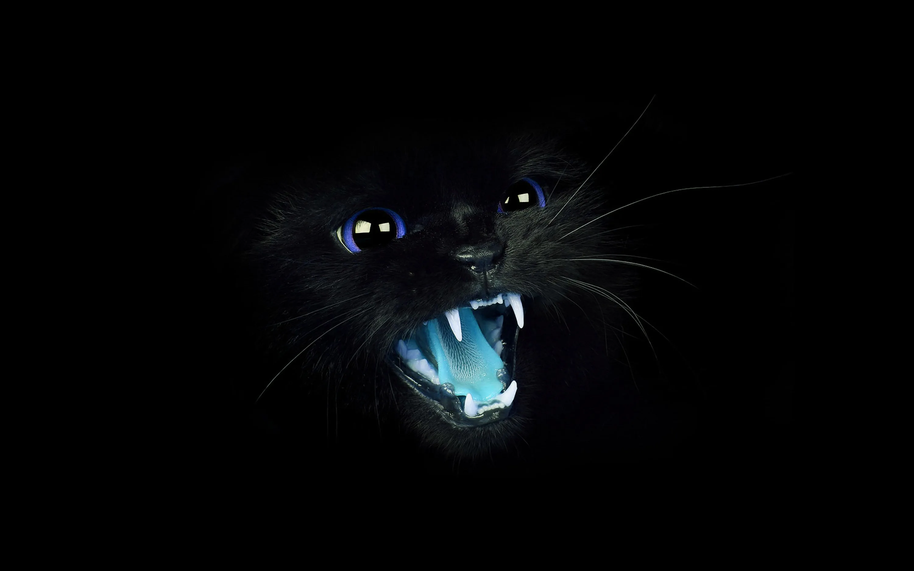 A cat bares its teeth in near darkness, blue rim light picking out fangs, whiskers and two glinting eyes against an otherwise black screen.