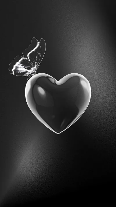 A smooth glass heart floats against a grey-to-black gradient, a butterfly resting on its upper edge in soft black and white.