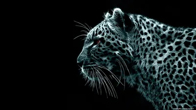 A leopard turns its head to the left, rosettes and whiskers picked out in cold silver-blue against solid black.