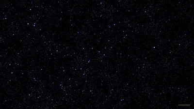 Fine blue-white stars spread evenly across an unbroken black sky, with no moon or horizon in the frame.