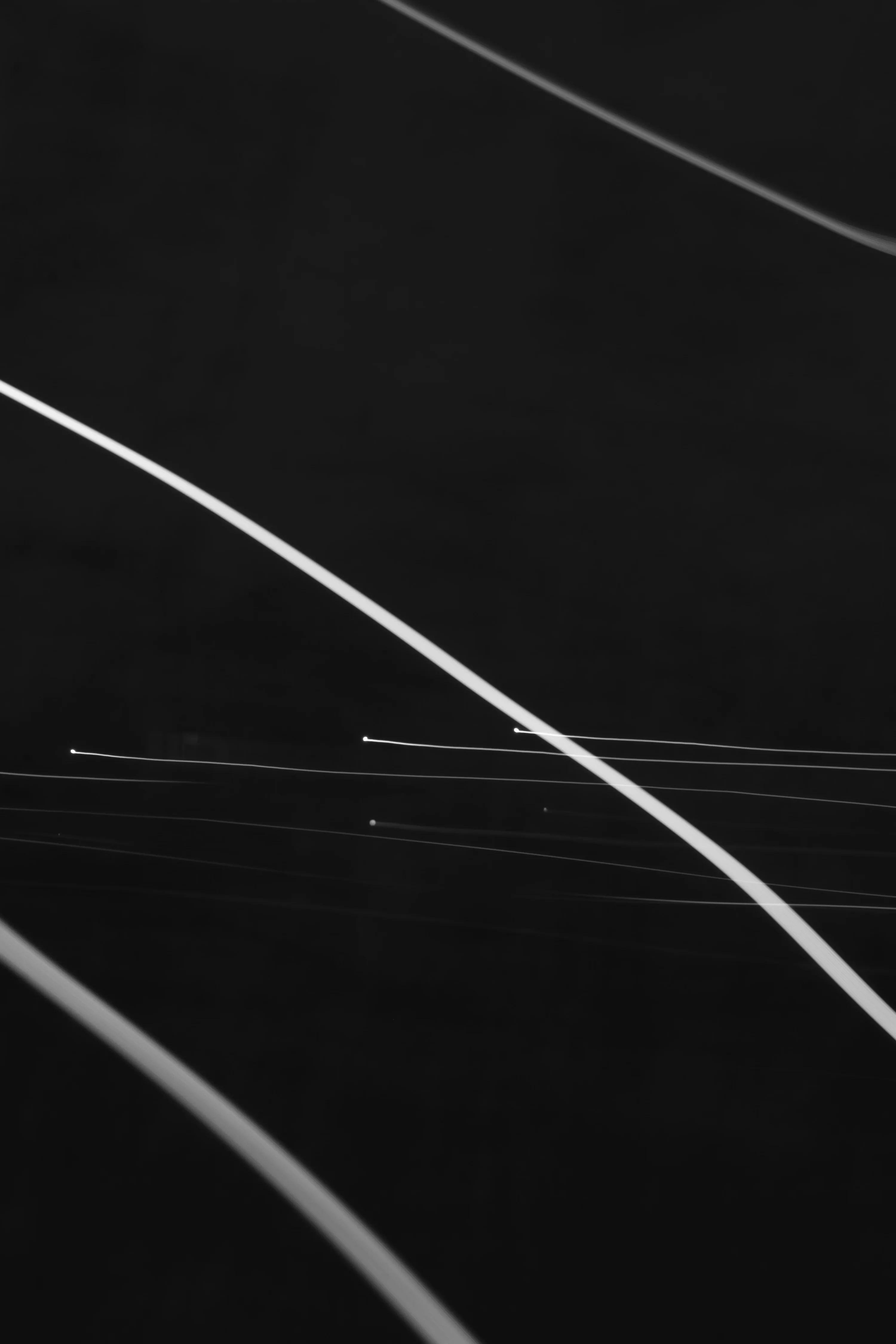 Long pale stems arc across a tall black frame in shallow focus, thinner threads crossing behind them in monochrome.