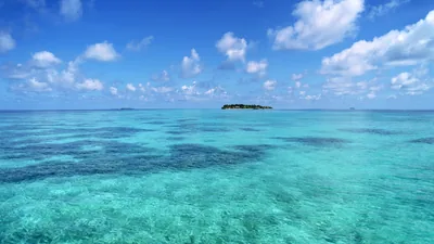 A lone islet of trees sits on the horizon beyond acres of shallow reef, coral patches mottling the turquoise flats.