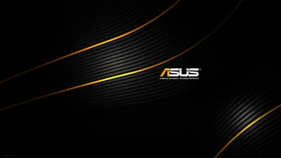 The brand name sits centred on black with thin gold and grey curves sweeping across the frame behind it.