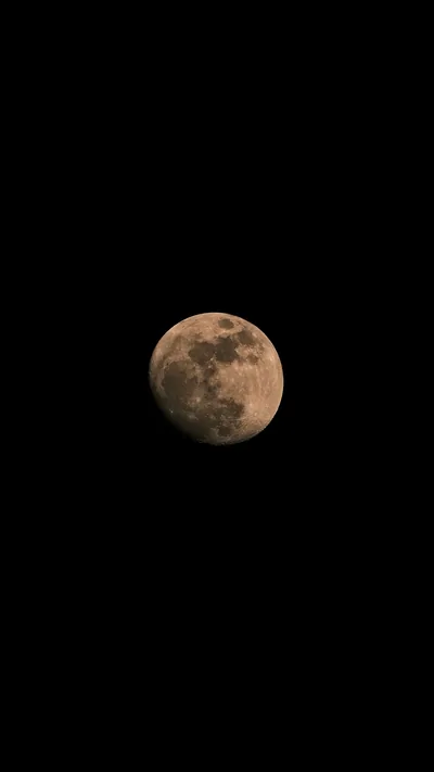 The moon sits slightly above centre in an otherwise empty night sky, its craters visible in warm grey against total black.