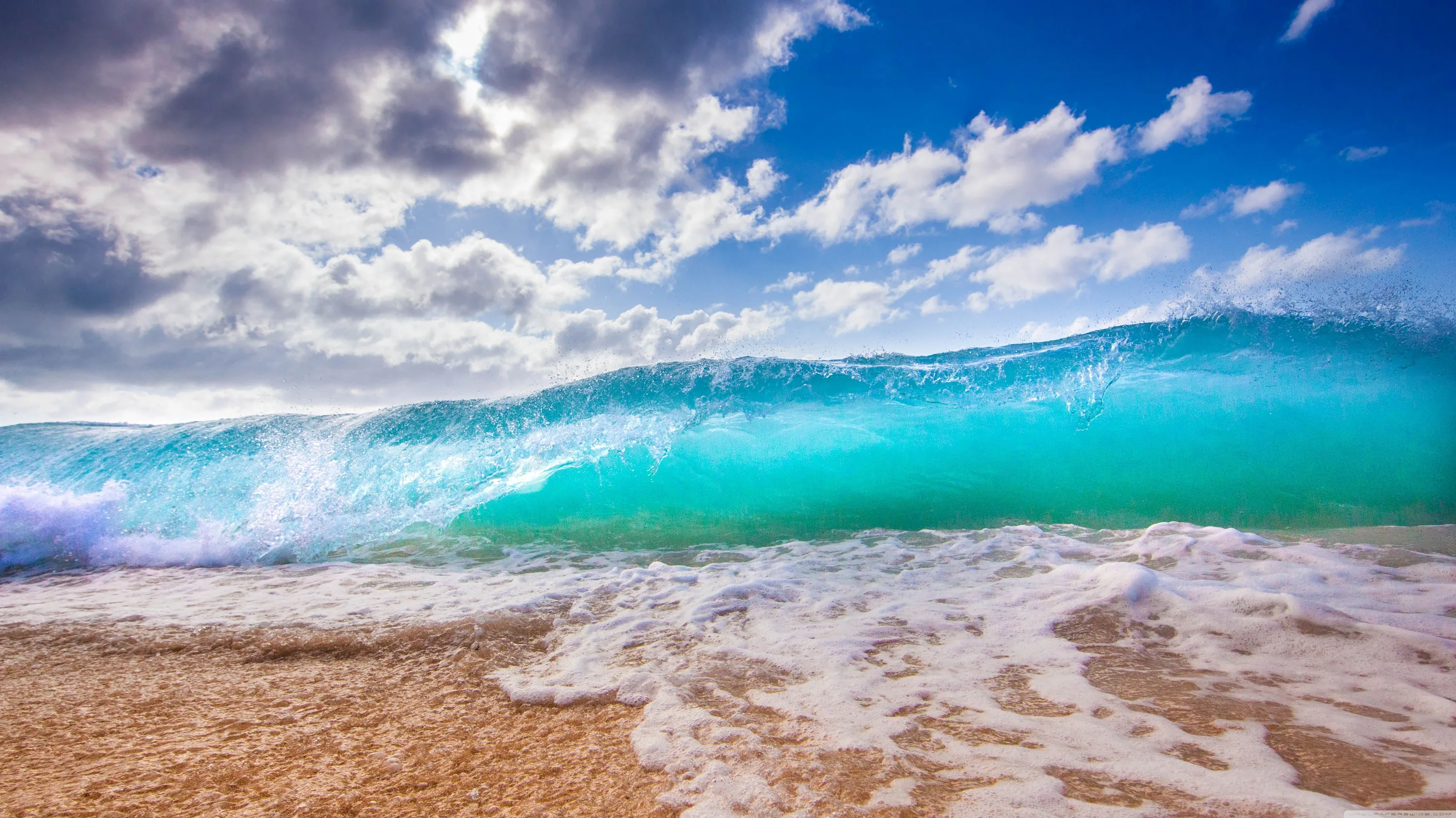 A backlit wave glows green-blue as it collapses into thick foam on the sand, storm light breaking through the clouds behind it.