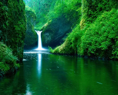 Moss coats every wall of this river gorge while a narrow chute pours into the pool at centre; green water fills the whole lower half of the frame.