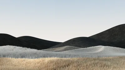 Smooth grey hills layer against a flat off-white sky with a band of dry grass running along the foreground.